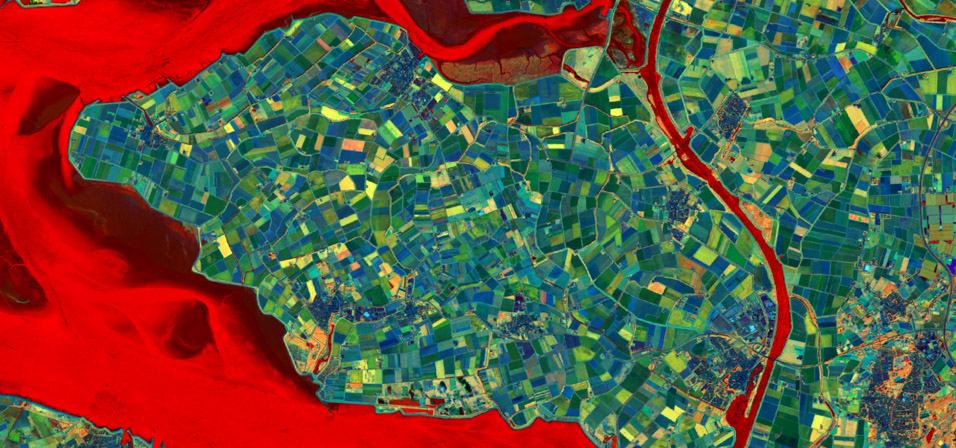 Sentinel-2 Explorer — False Color