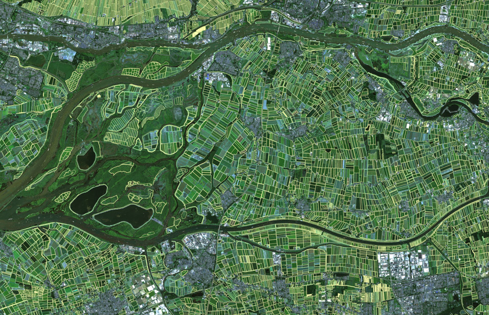 Netherlands — fiboa Agricultural Field Boundaries over Sentinel-2